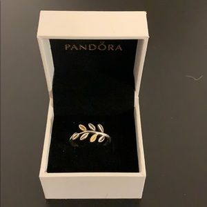Pandora ring